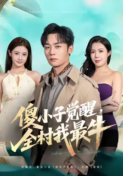 傻小子觉醒，全村我最牛海报