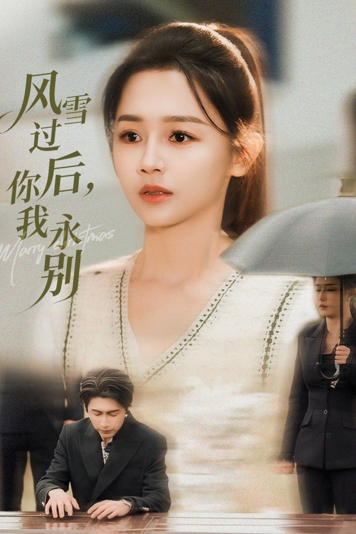 风雪过后你我永别海报
