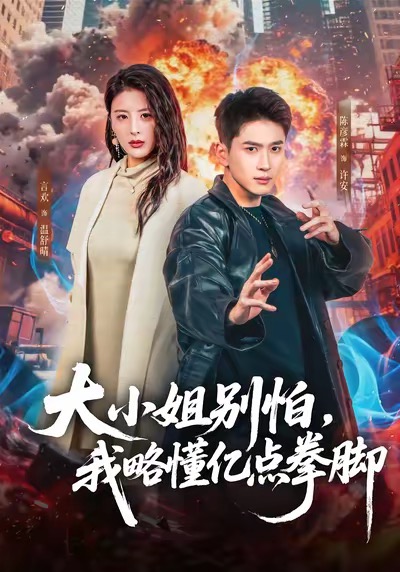 大小姐别怕，我略懂亿点拳脚海报
