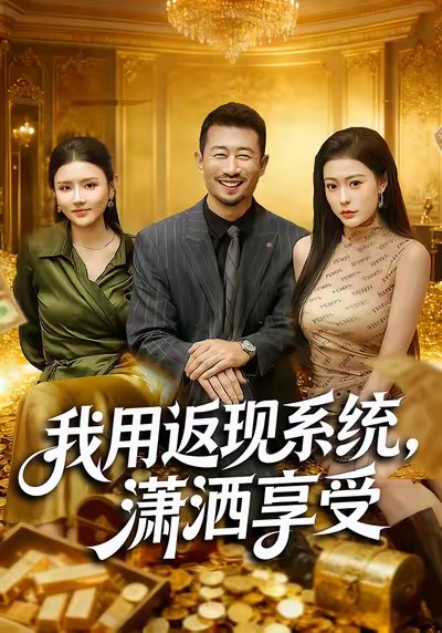 我用返现系统，潇洒享受海报