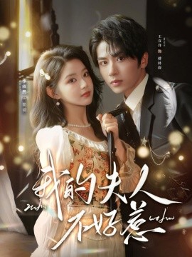 我的夫人不好惹海报