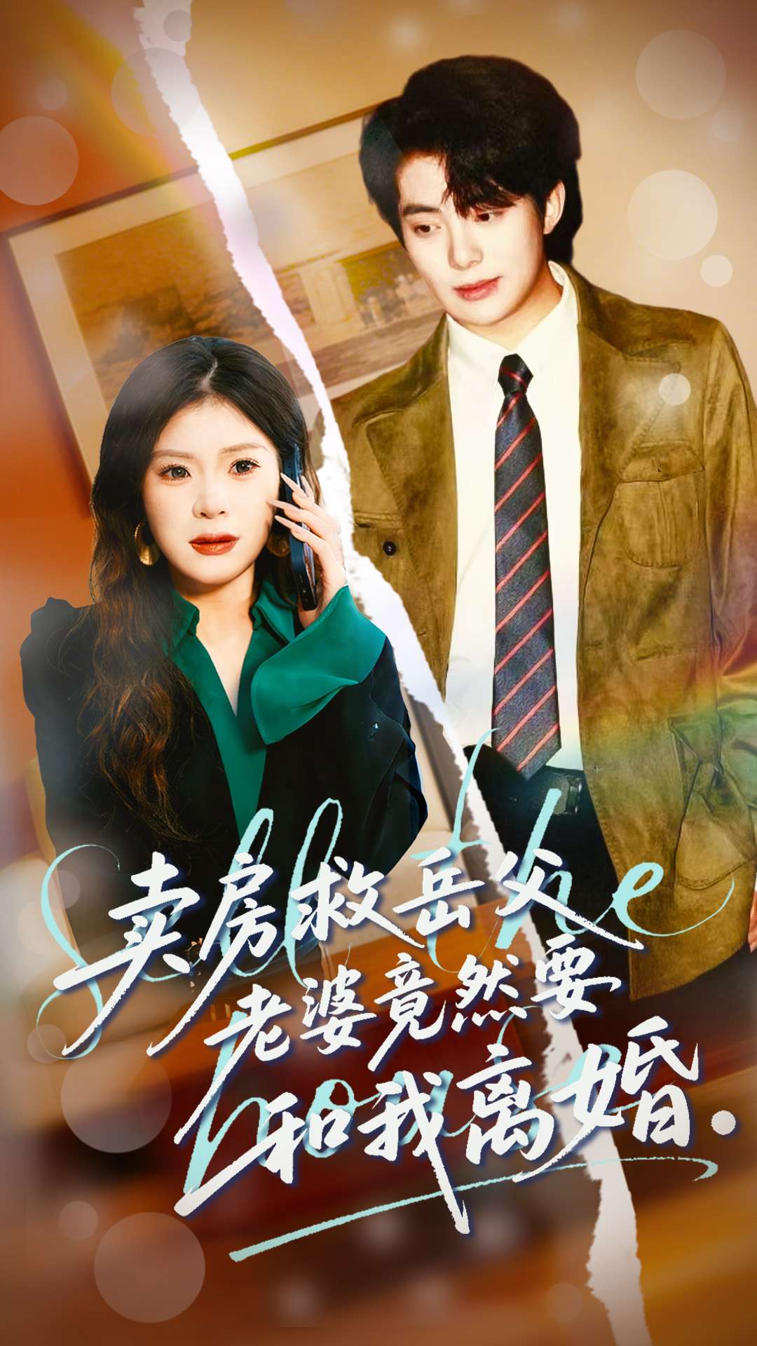 卖房救岳父，老婆竟然要和我离婚海报