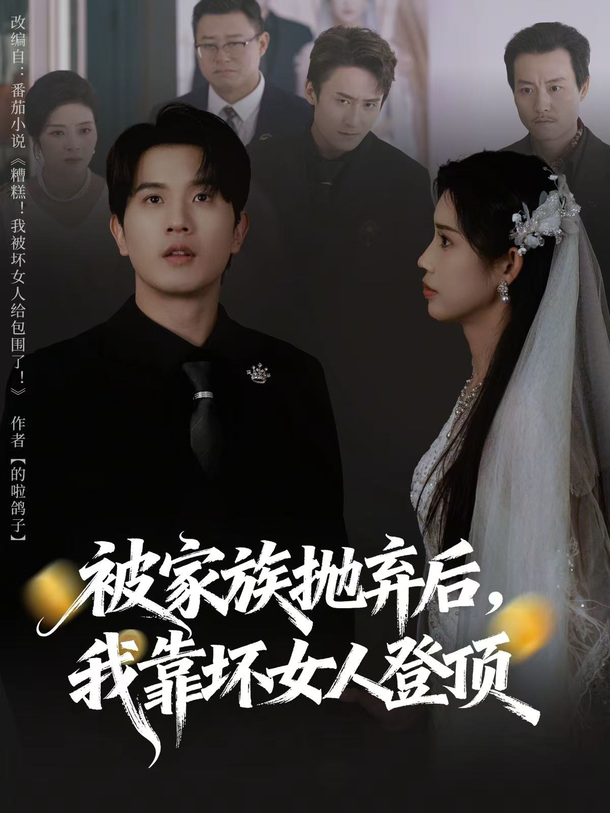 被家族抛弃后，我靠坏女人登顶海报