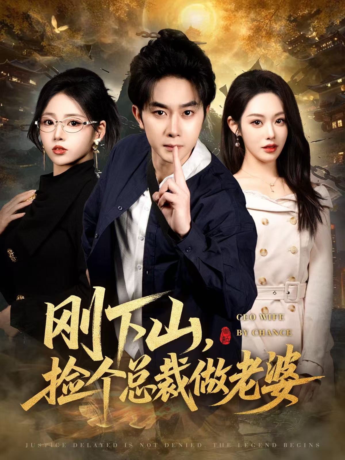 刚下山捡个总裁做老婆海报