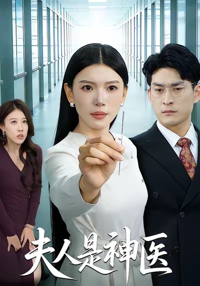 夫人是神医海报