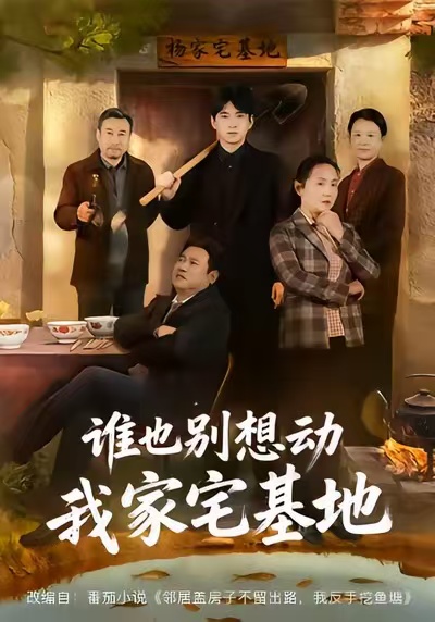 谁也别想动我家宅基地海报