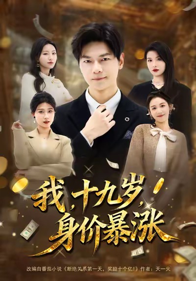 我十九岁身价暴涨海报