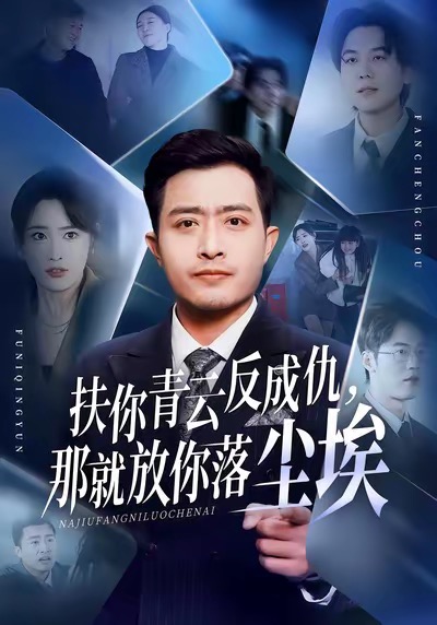 扶你青云反成仇，那就放你落尘埃海报