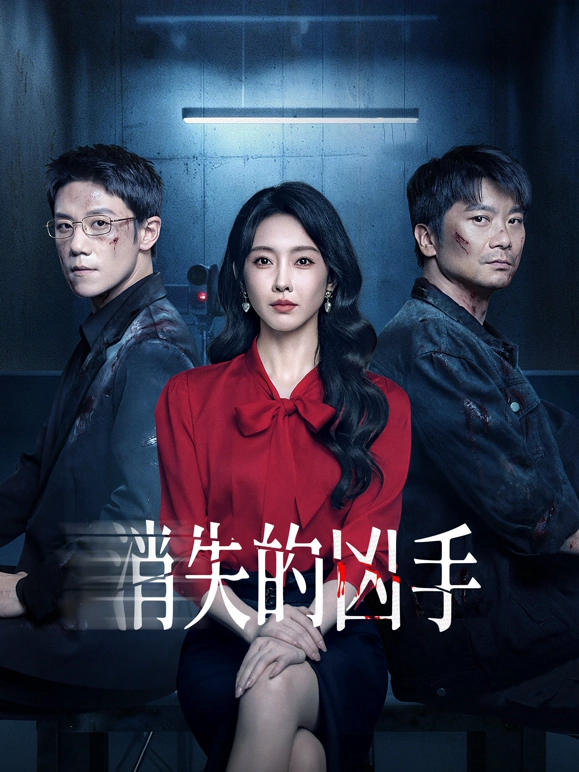消失的凶手2025海报