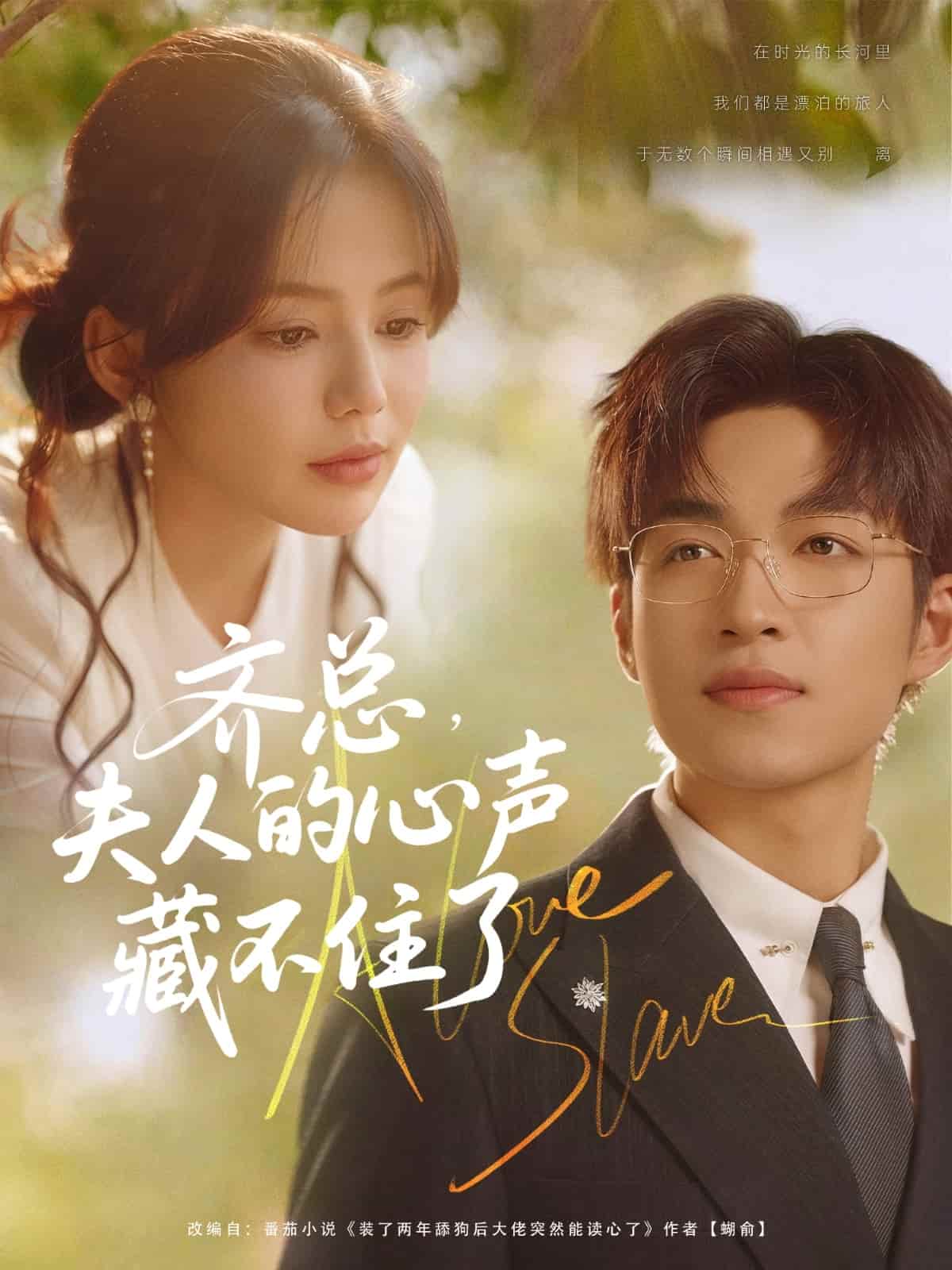 齐总夫人的心声藏不住了海报