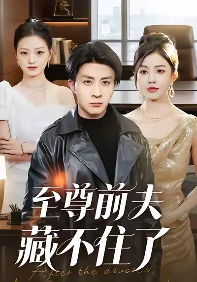 至尊前夫藏不住了海报