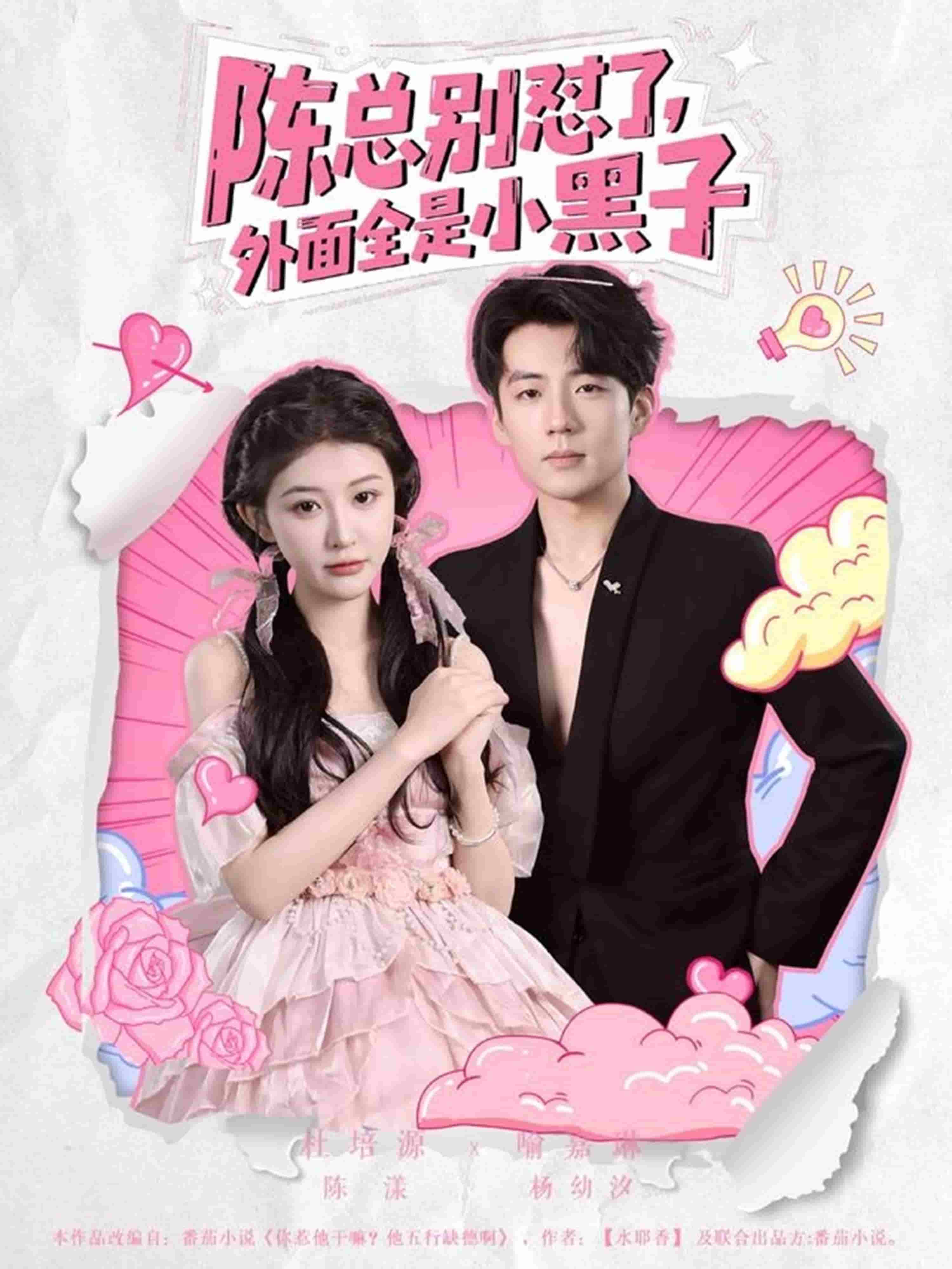 陈总别怼了外面全是小黑子海报