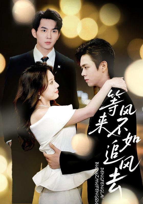 等风来不如追风去海报