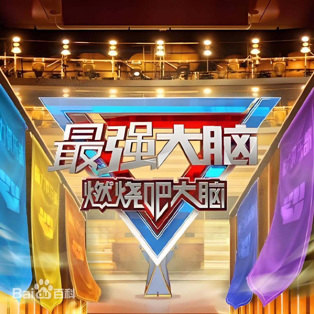 最强大脑 第十三季海报