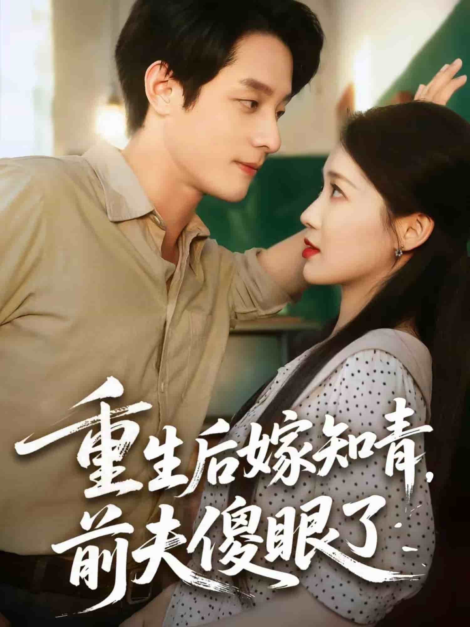 重生后嫁知青前夫傻眼了海报