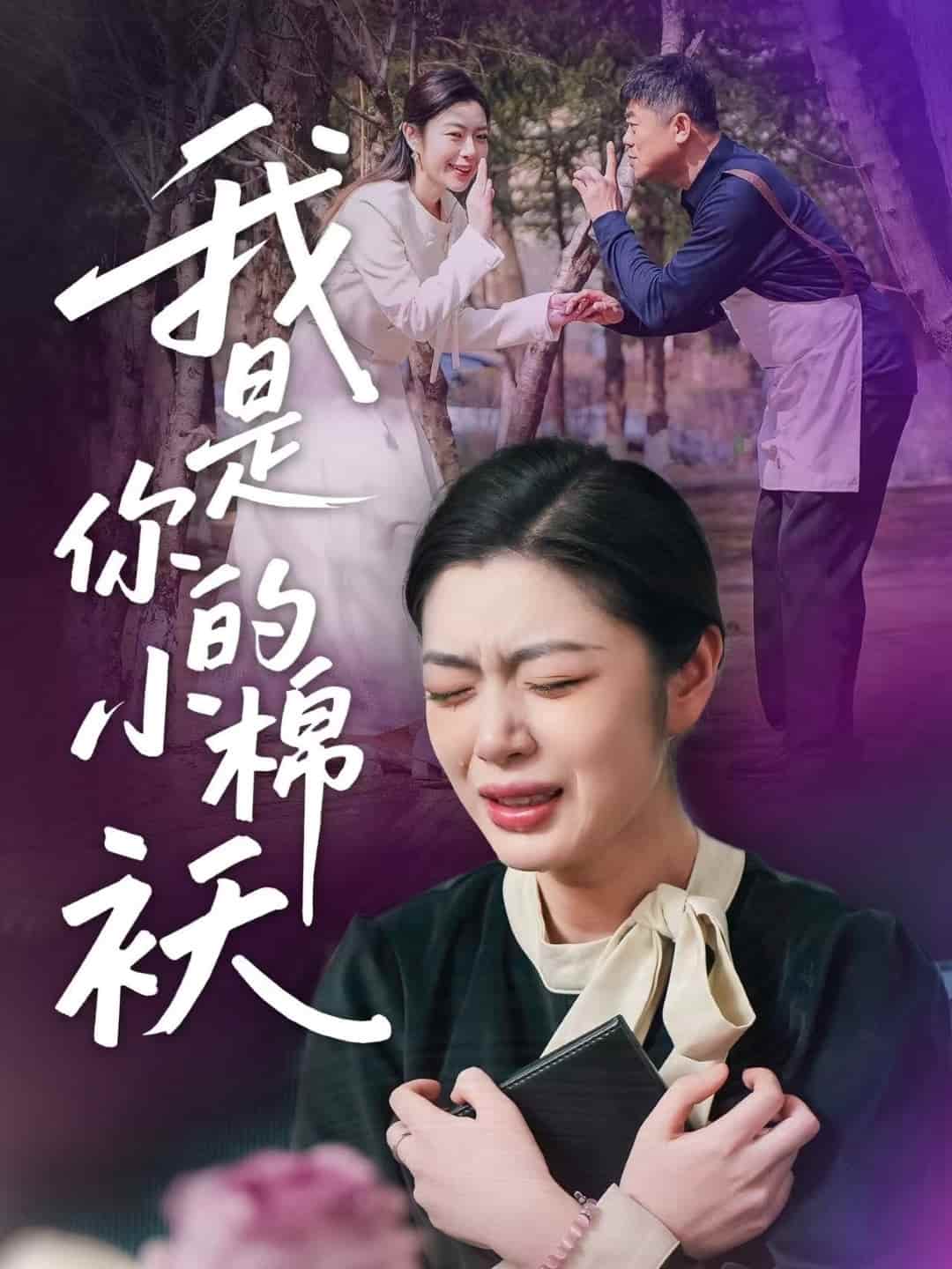 我家的小棉袄海报