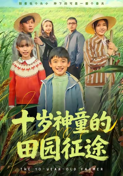 十岁神童的田园征途海报