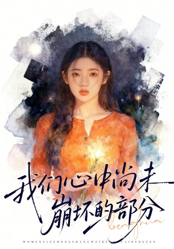 我们心中尚未崩坏的部分海报