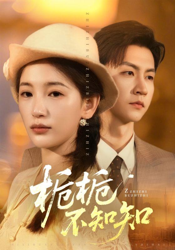 栀栀不知知海报