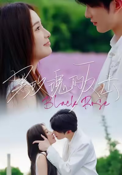 黑玫瑰的反击海报