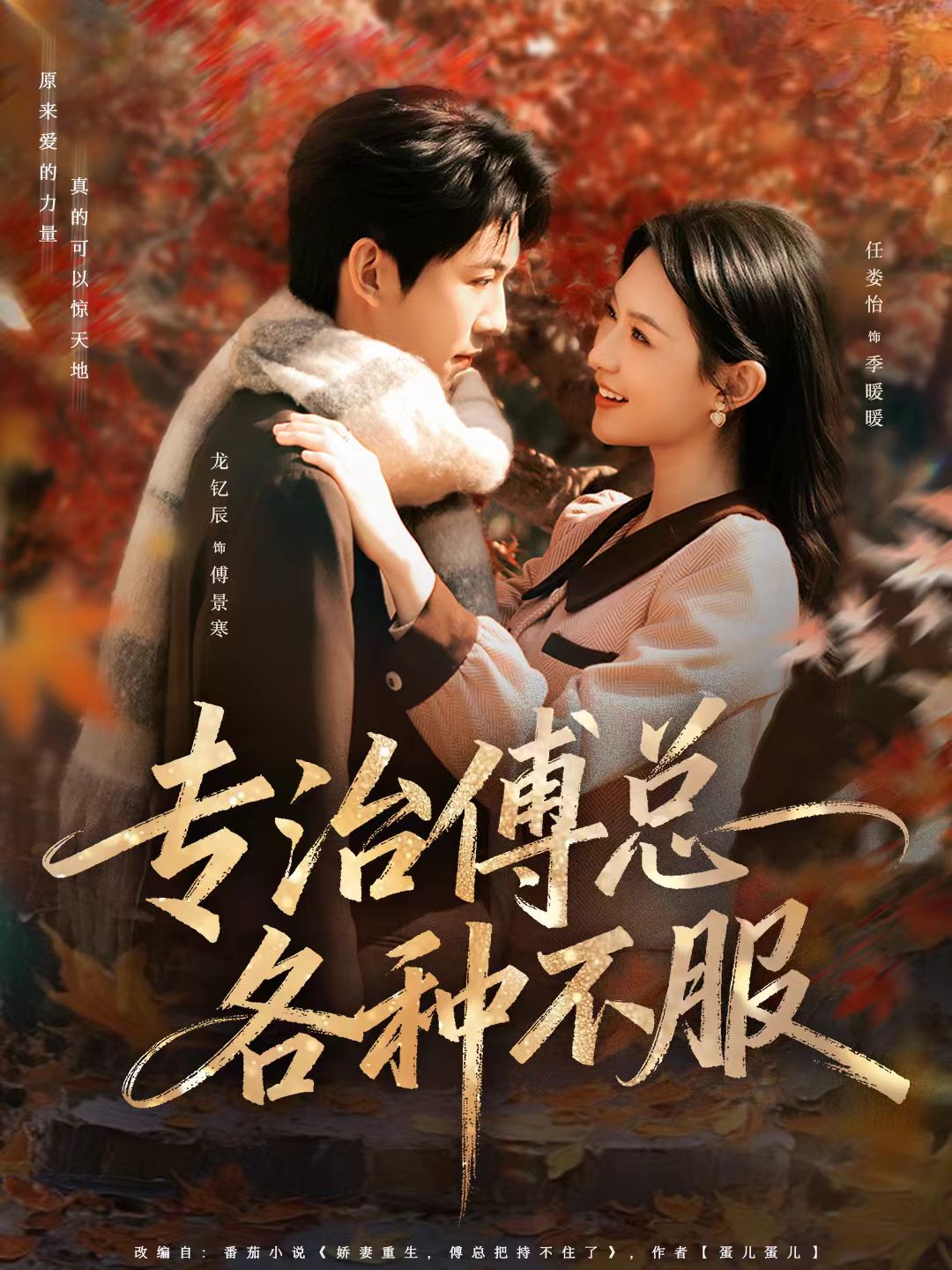 专治傅总各种不服海报