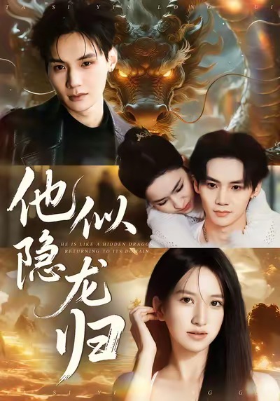 他似隐龙归海报