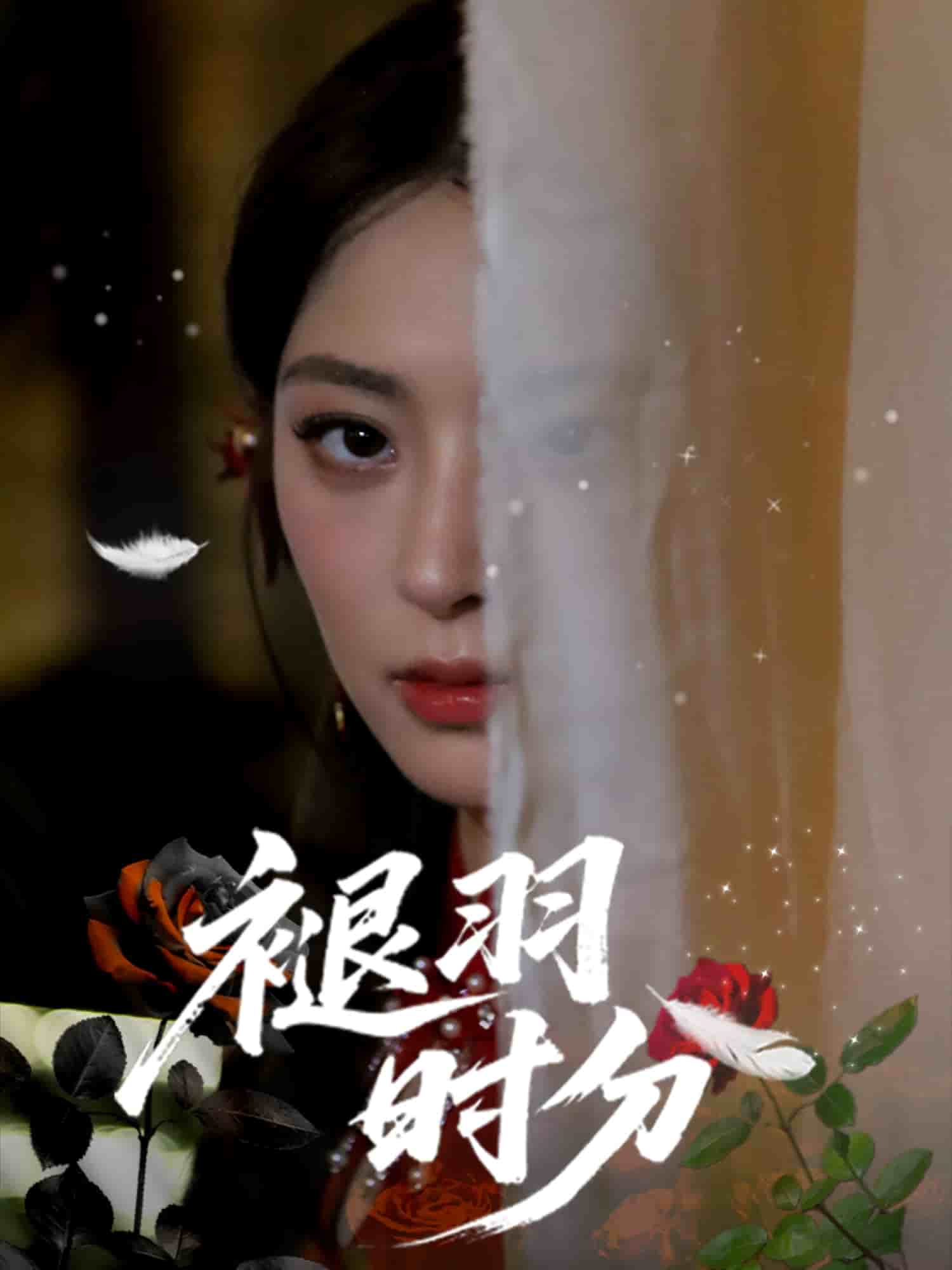 褪羽时分海报