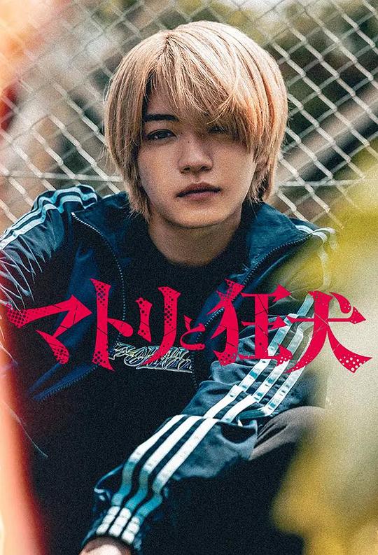 缉毒警与疯犬海报