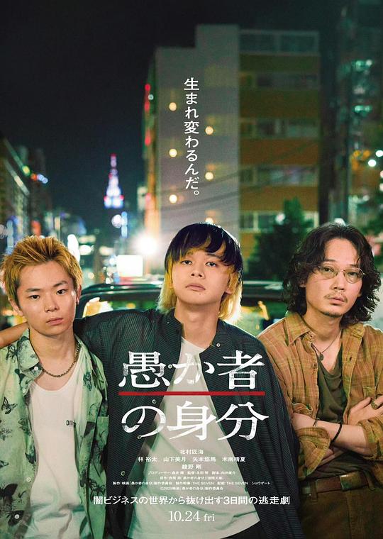 愚者的身份海报