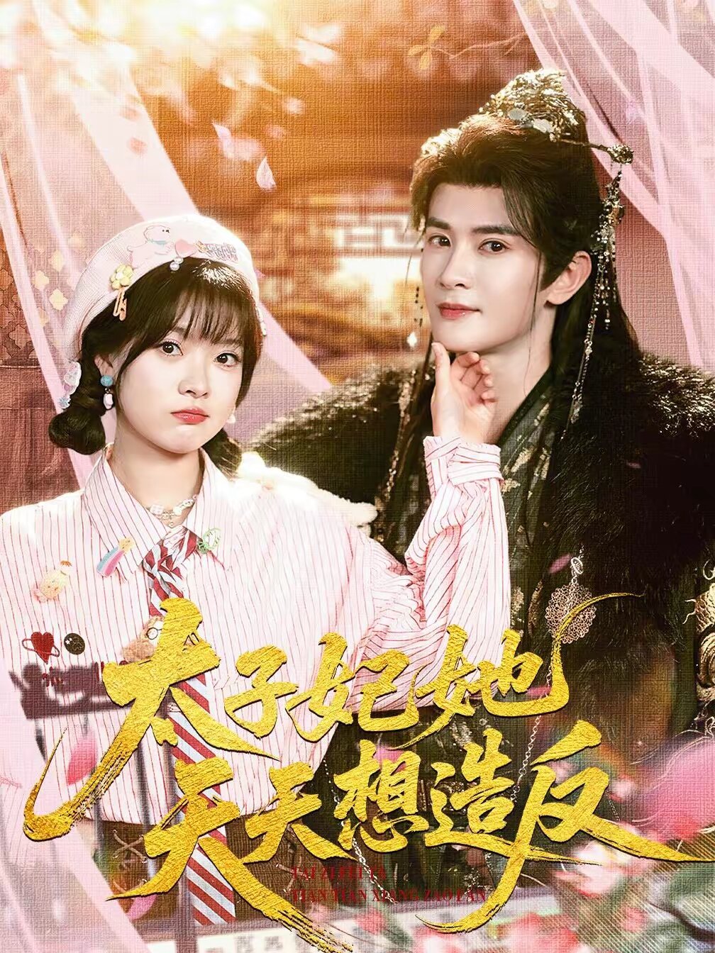 太子妃她天天想造反海报