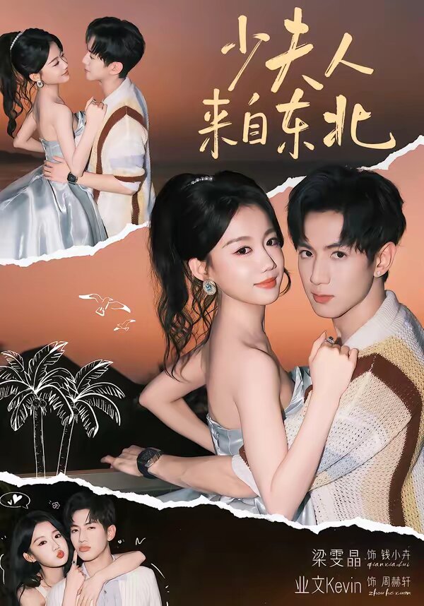 少夫人来自东北海报