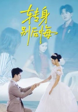 转身别后悔海报