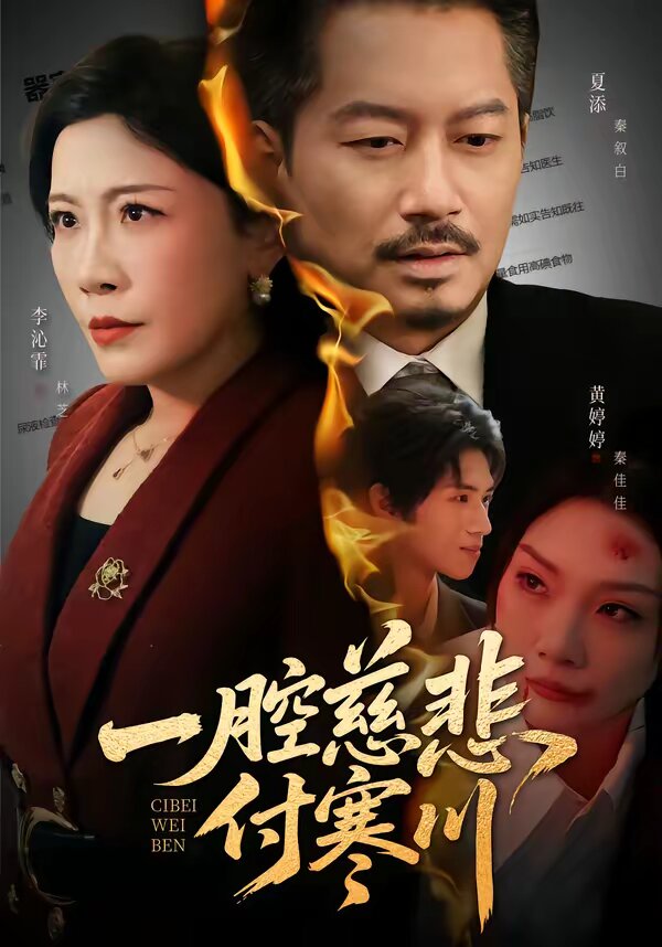 一腔慈悲付寒川海报