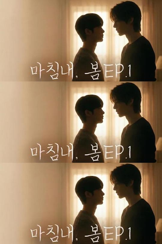 迟来的春天海报