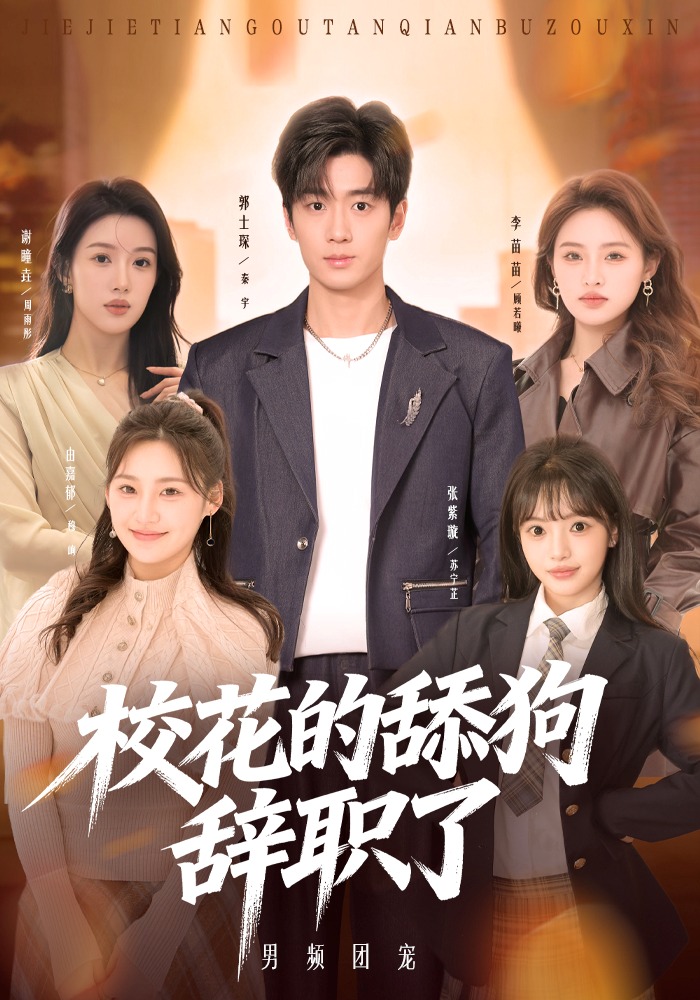 校花的舔狗辞职了海报