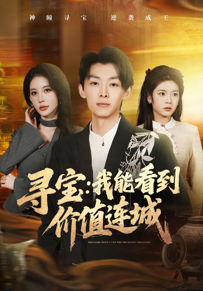 寻宝：我能看到价值连城海报
