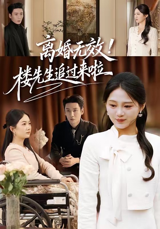 离婚无效！楼先生追过来啦海报