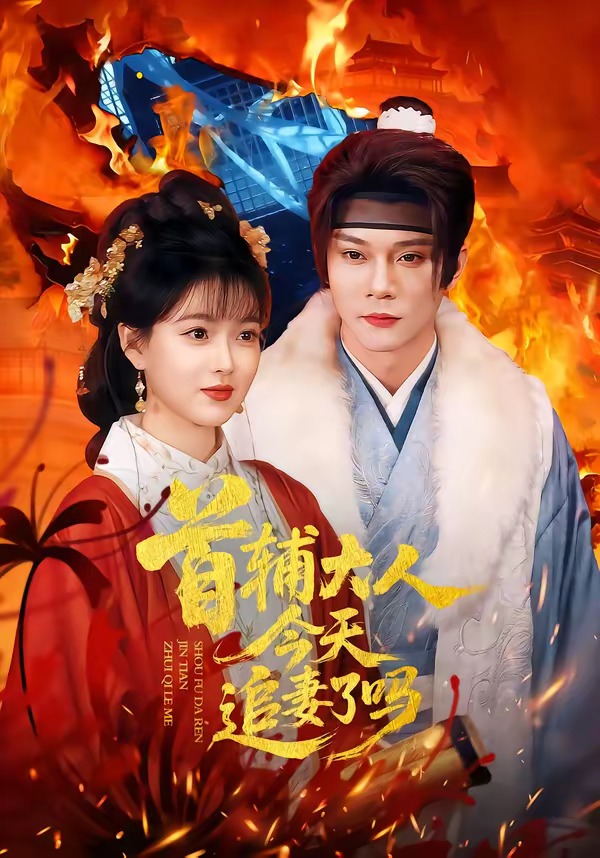 首辅大人今天追妻了吗海报
