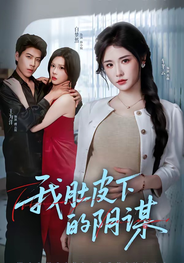 我肚皮下的阴谋海报