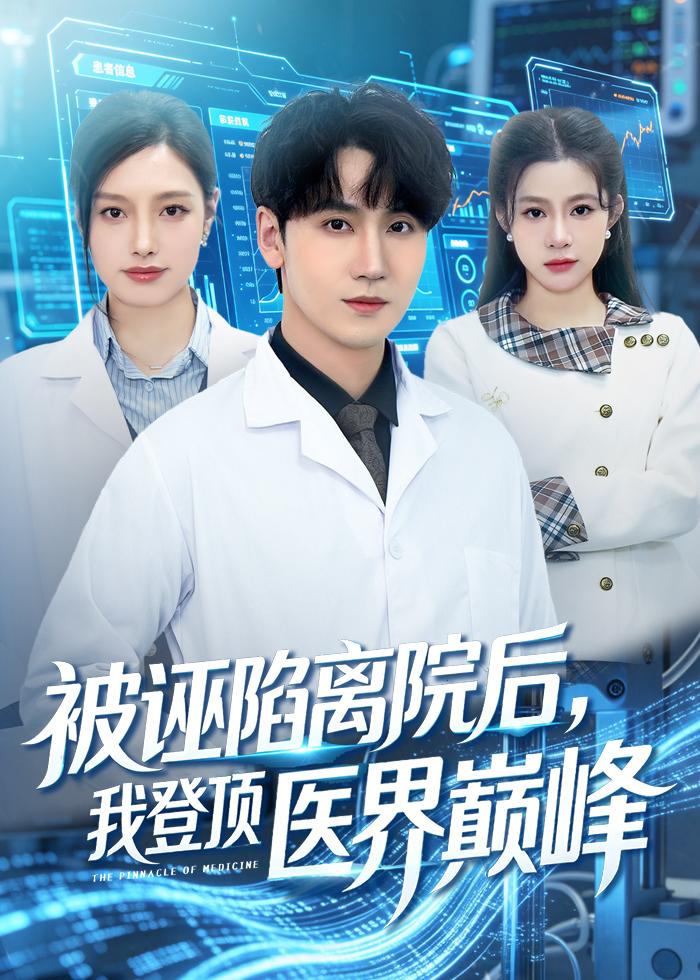 被诬陷离院后，我登顶医界巅峰海报