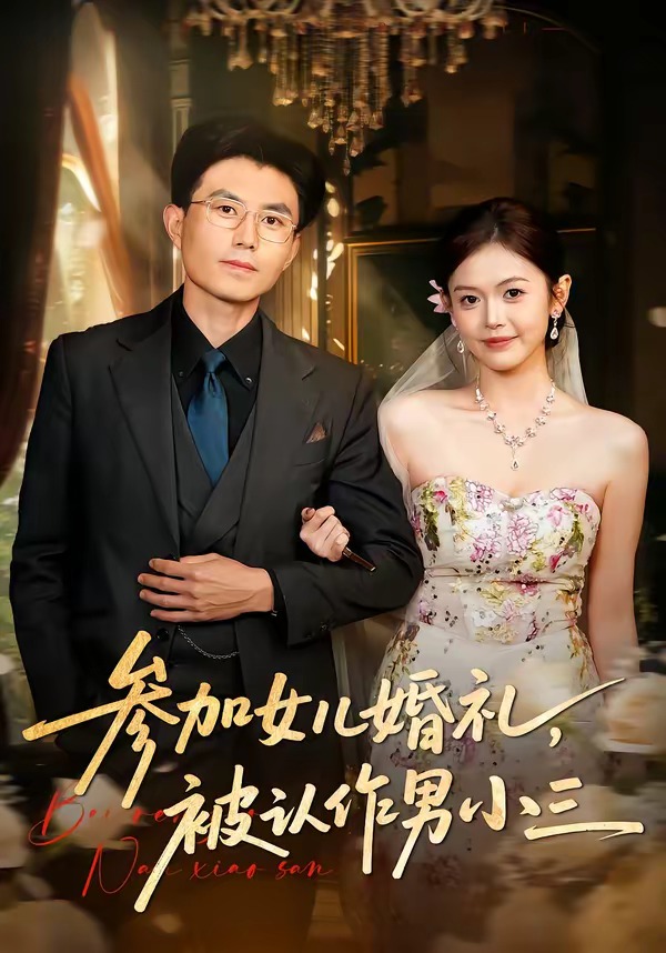 参加女儿婚礼，被认作男小三海报