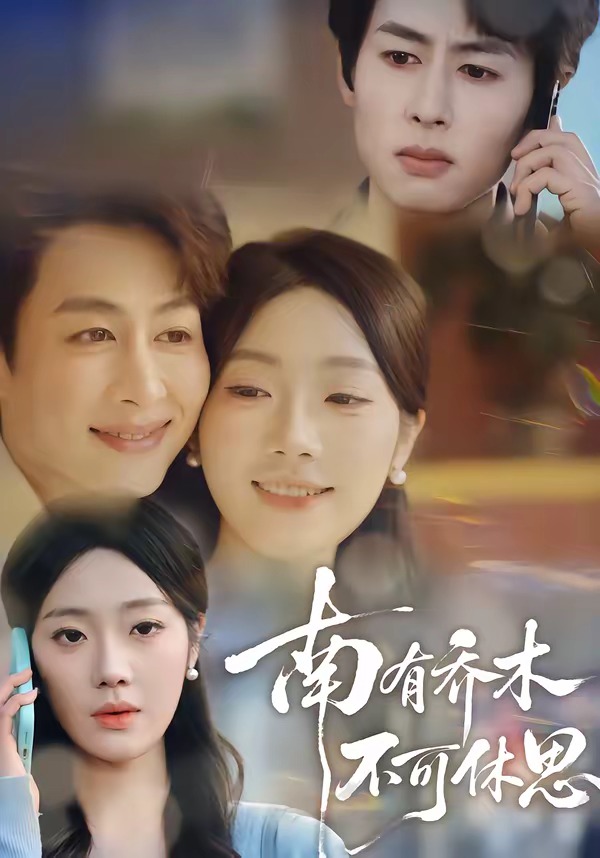 南有乔木，不可休思海报