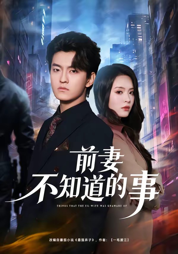 前妻不知道的事海报