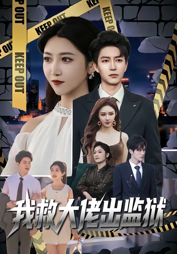 我救大佬出监狱海报